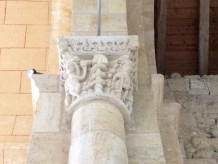 IMG_5560.jpeg